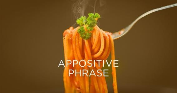 What Is An Appositive Phrase