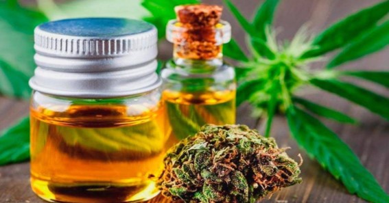 The possible hazards of CBD oil should be considered before using it